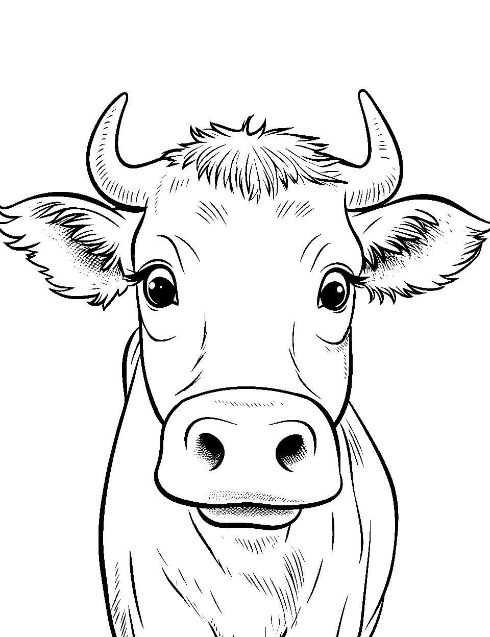 Curious Cow Head Coloring Page - A close-up of a curious cow’s face.