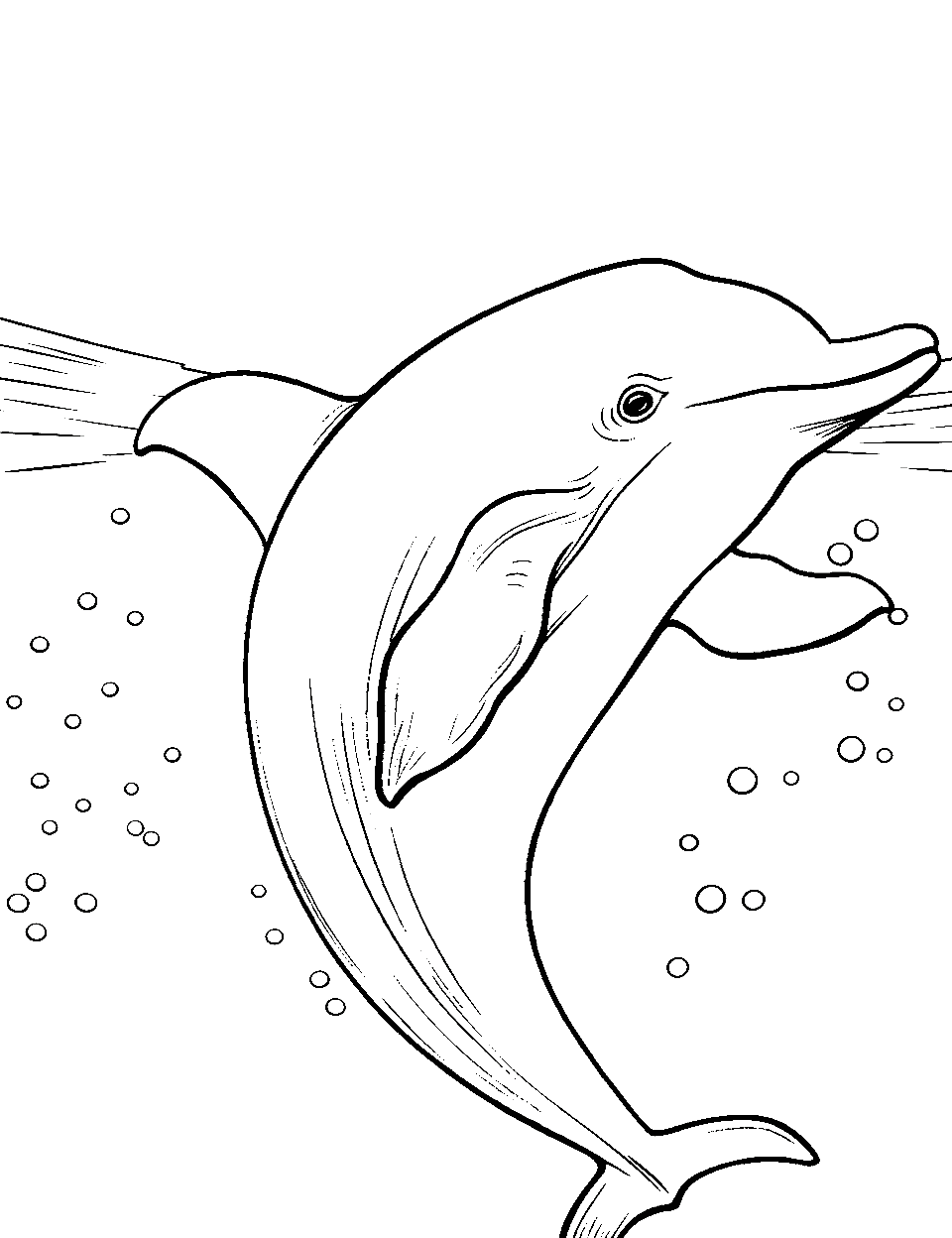 Dolphin Surfacing Ocean Coloring Page - A lone dolphin is slightly peeking from the ocean surface to recon the surroundings.