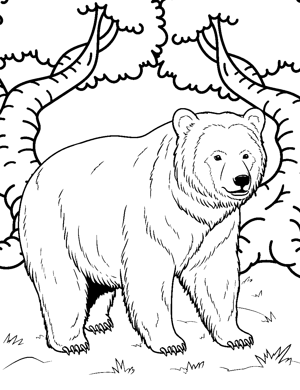 Realistic Brown Bear Coloring Page - A detailed brown bear is standing majestically in the forest clearing.