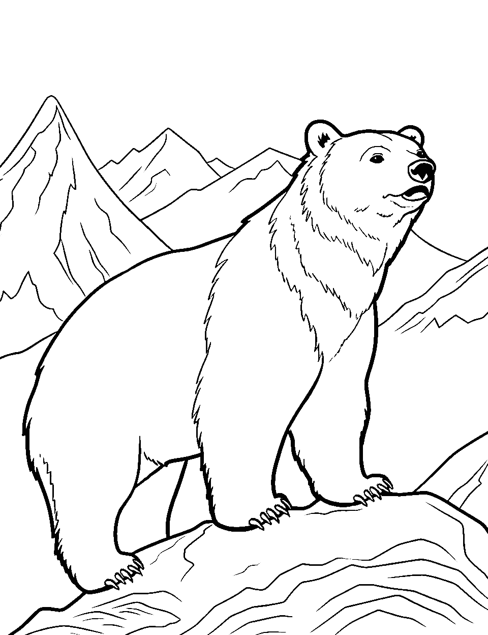 Mountain Top Bear View Coloring Page - A bear on a mountain peak overlooking a vast landscape.