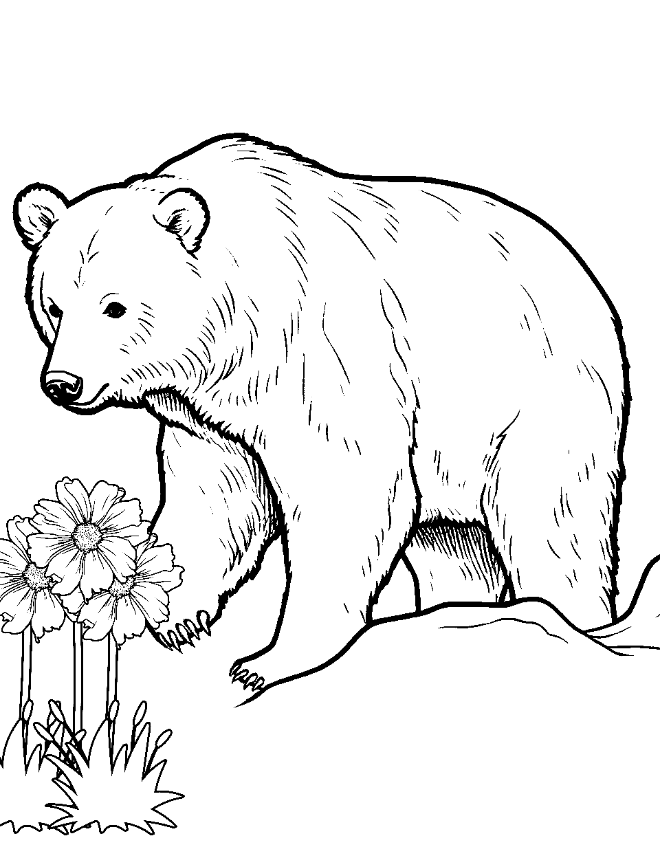 Bear's Spring Flowers Coloring Page - A bear sniffing a bunch of fresh spring flowers.