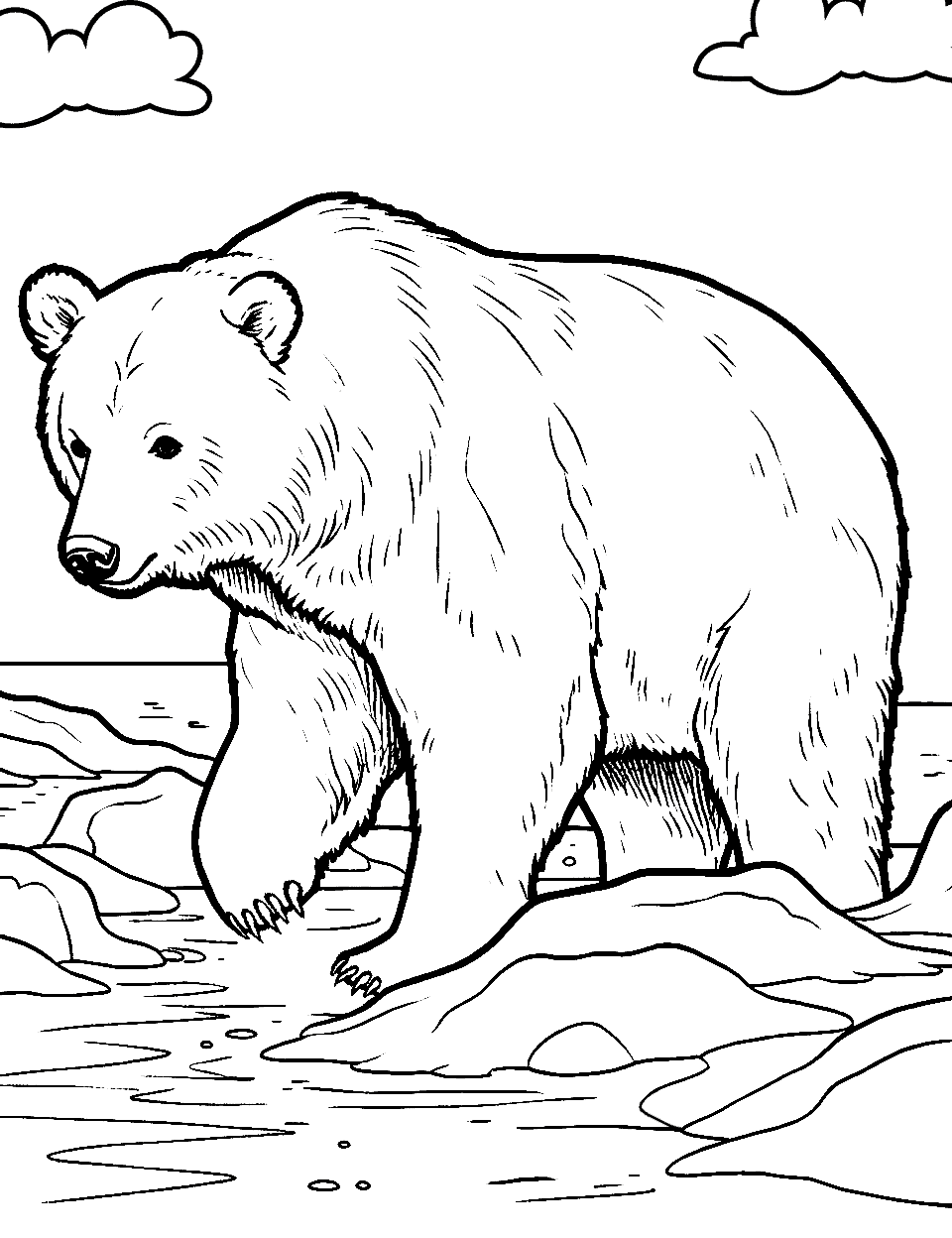 Grizzly Bear Fishing Coloring Page - A grizzly bear looking to catch a fish in a rushing river.