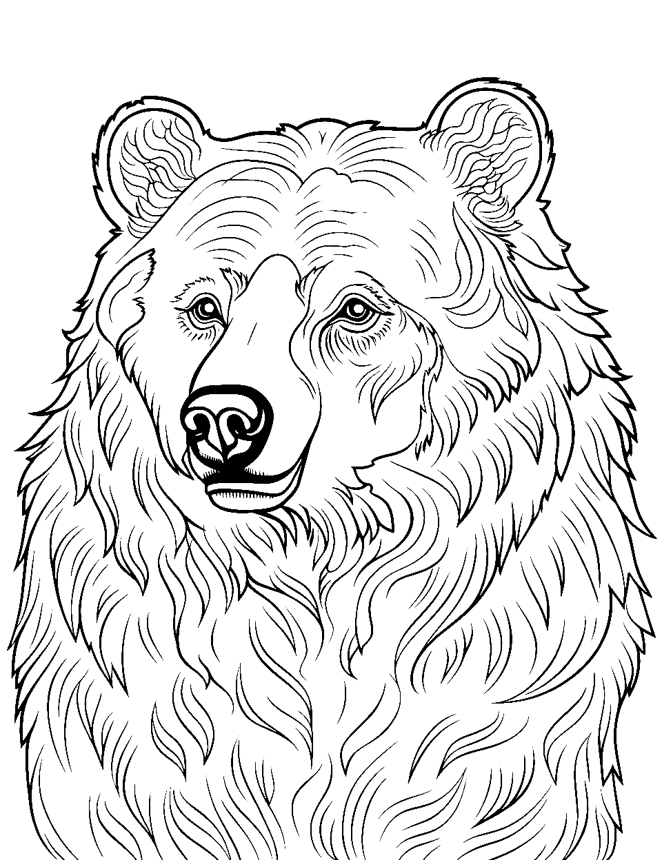 Advanced Grizzly Sketch Coloring Page - A close-up grizzly bear with intricate fur detailing for advanced colorists.