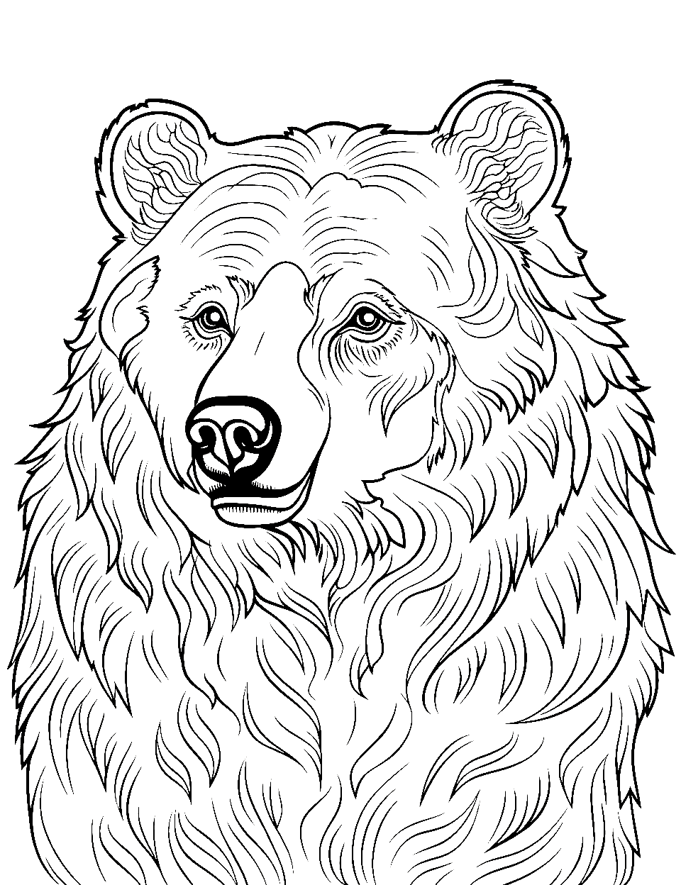 Advanced Grizzly Sketch Bear Coloring Page - A close-up grizzly bear with intricate fur detailing for advanced colorists.