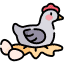 What Is a Fun Fact About Chicken? Icon