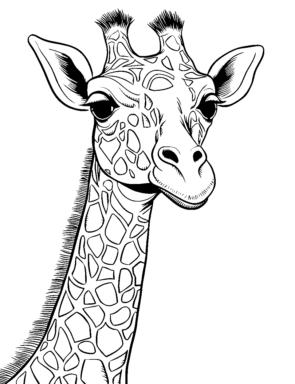 Detailed Giraffe Portrait Coloring Page - Close-up view of a giraffe’s face, focusing on the eyes and patterns.