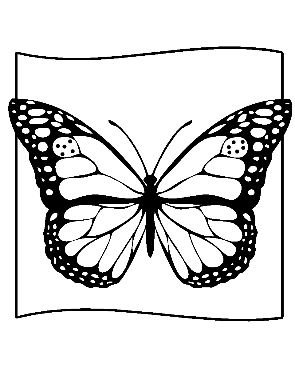 Insect Exploration Preschool Coloring Page - A detailed butterfly on a piece of paper for close inspection.