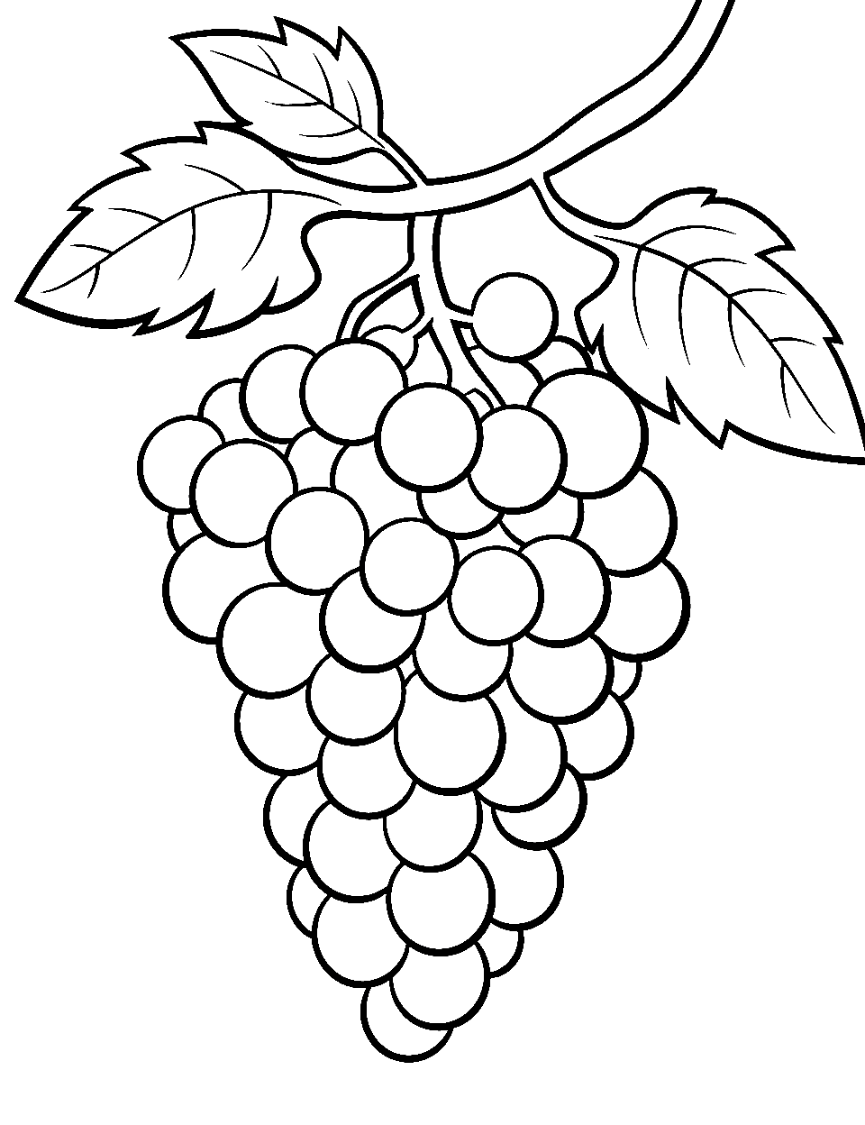 Grape Glee Preschool Coloring Page - A bunch of grapes hanging from a vine.