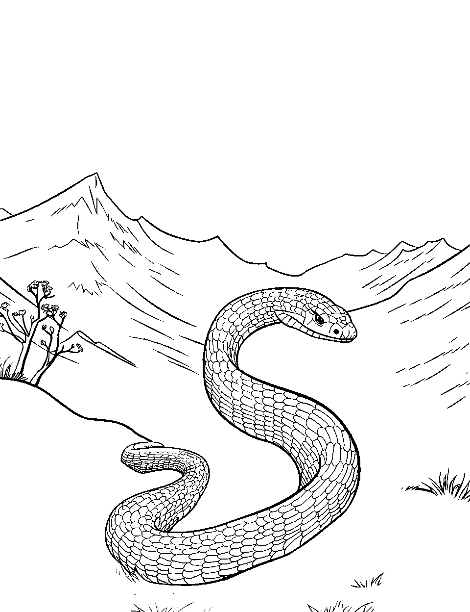 Mountain Serpent Snake Coloring Page - A snake winding its way down a rocky mountain path.