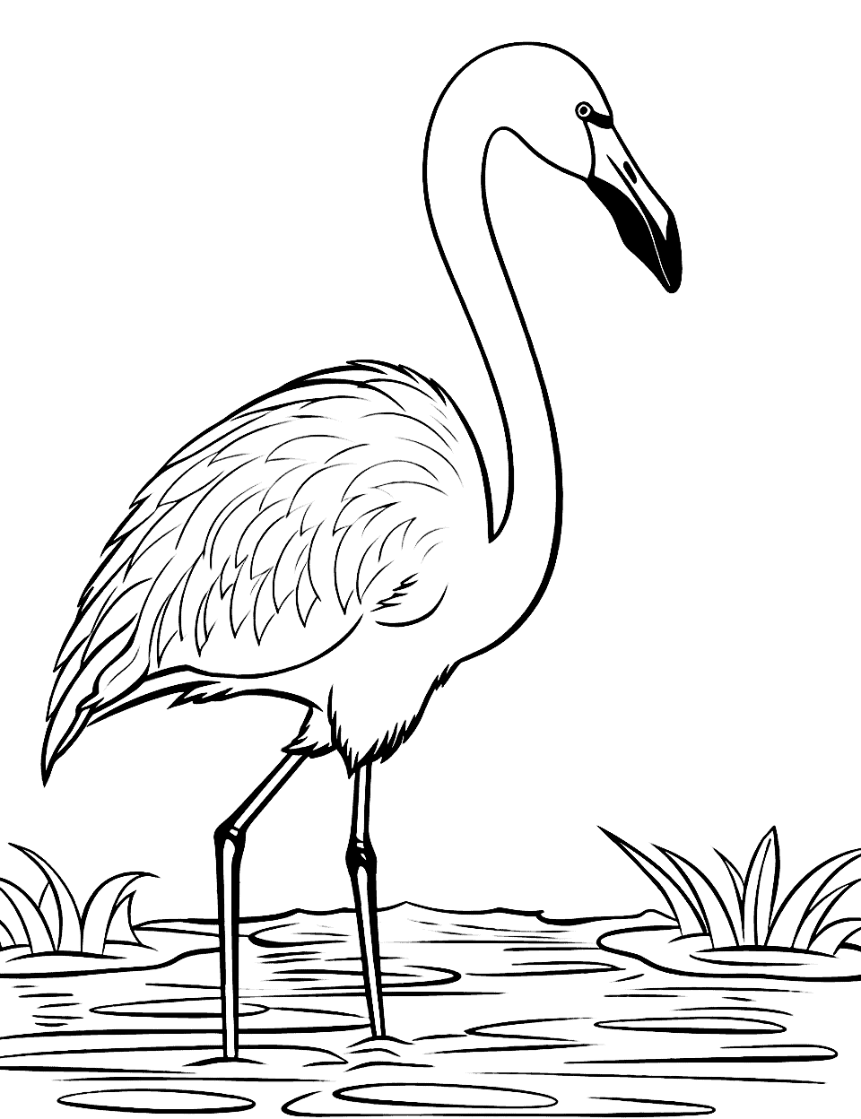 Cute Flamingo Standing by a Pond Coloring Page - A charming, cute flamingo standing beside a small pond.