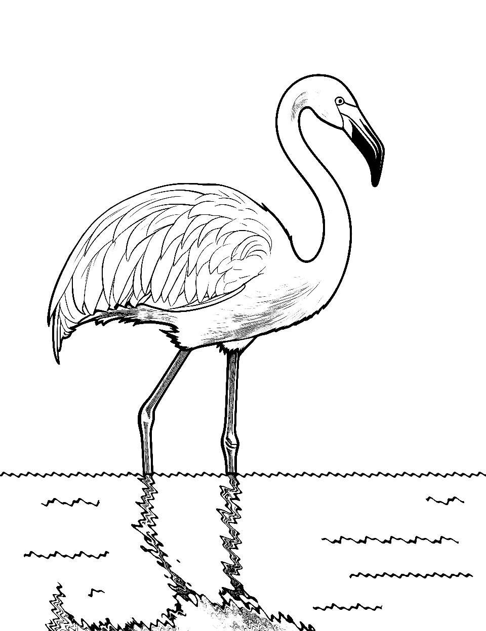 Realistic Flamingo in Water Coloring Page - A realistic depiction of a flamingo wading through water with a reflection on the surface.