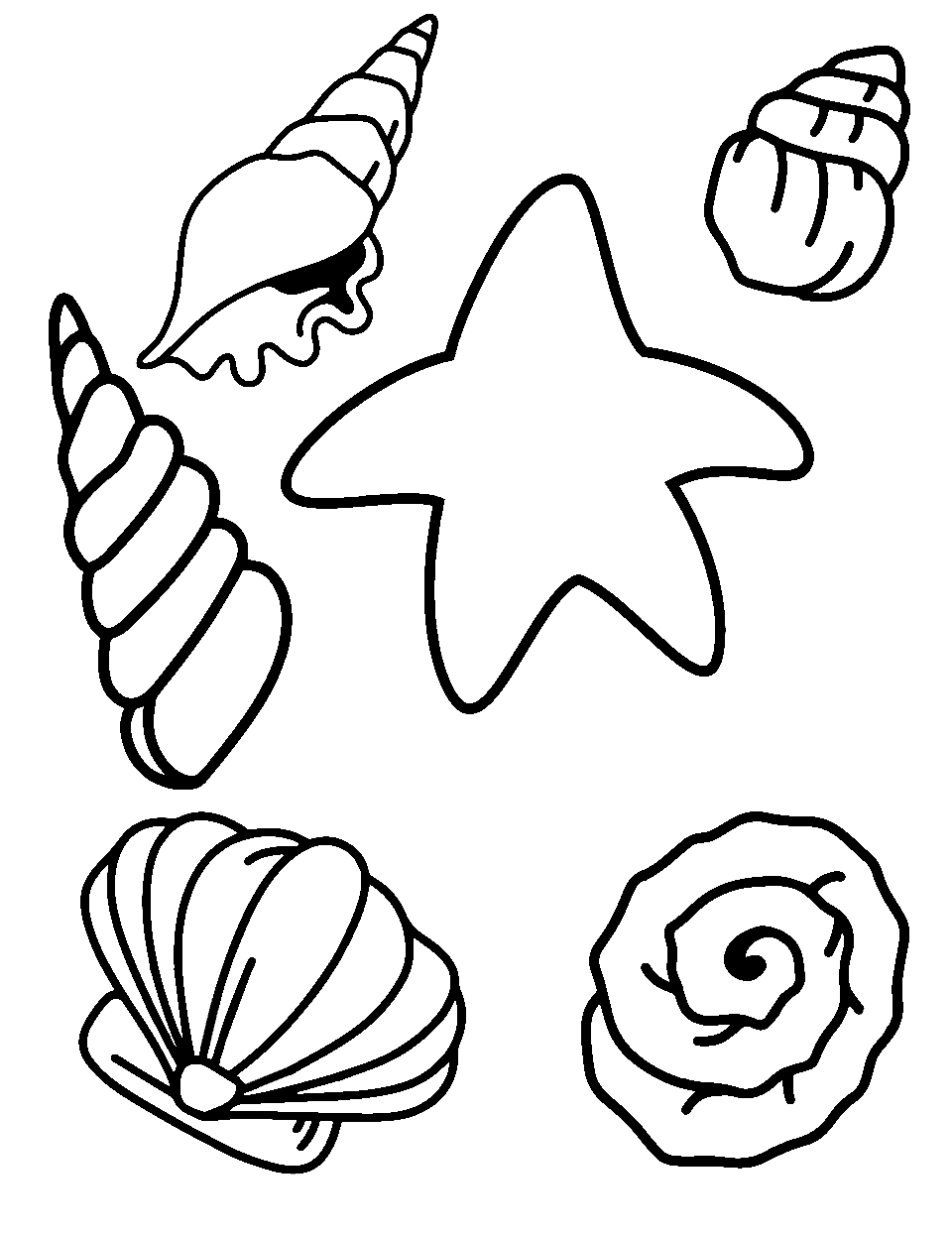 Starfish and Shells Collection Ocean Coloring Page - Different types of starfish and shells scattered on the sand.