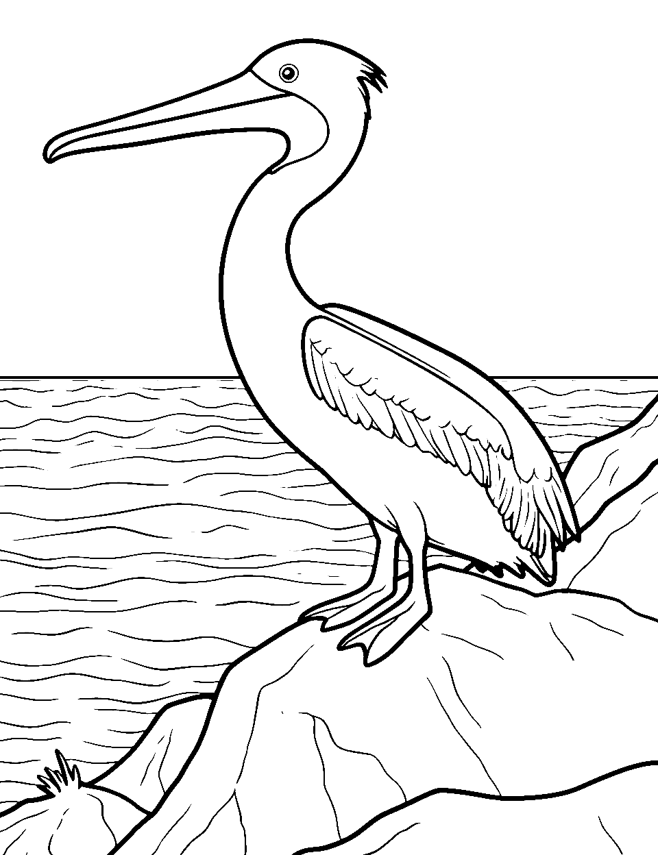 Coastal Bird Watching Ocean Coloring Page - A pelican bird perched on a cliff with the ocean below.