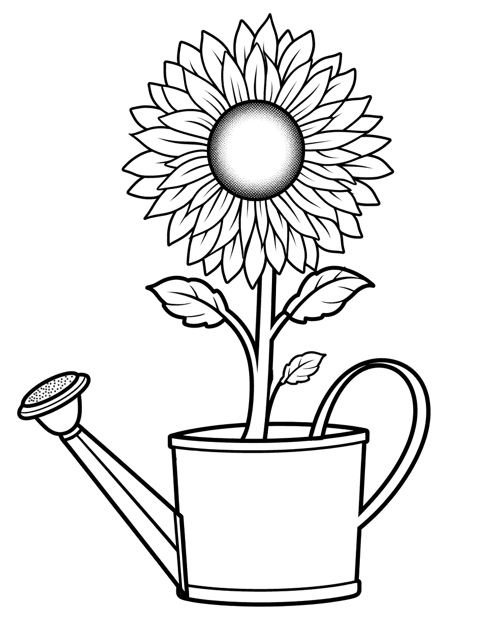 Watering Can Sunflower Coloring Page - A sunflower planted in a garden watering can.