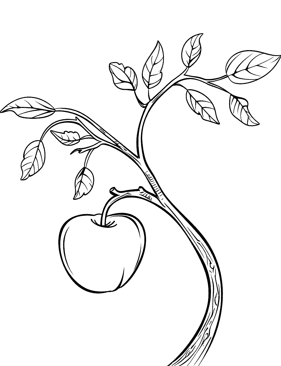 Apple on a Branch Coloring Page - A single apple hanging from a tree branch, surrounded by leaves.