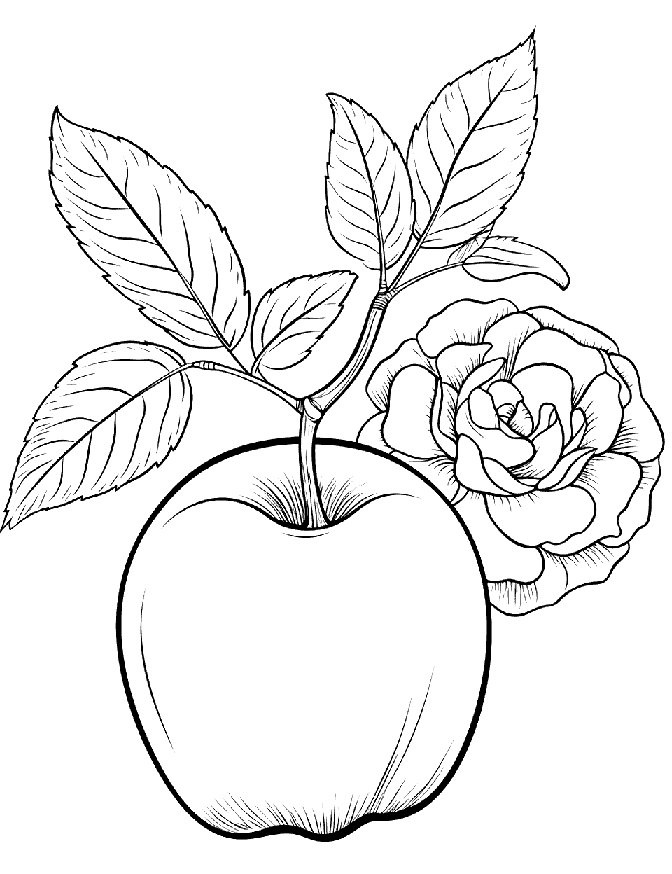 Rose and Apple Composition Coloring Page - A beautiful rose lying next to a ripe apple.