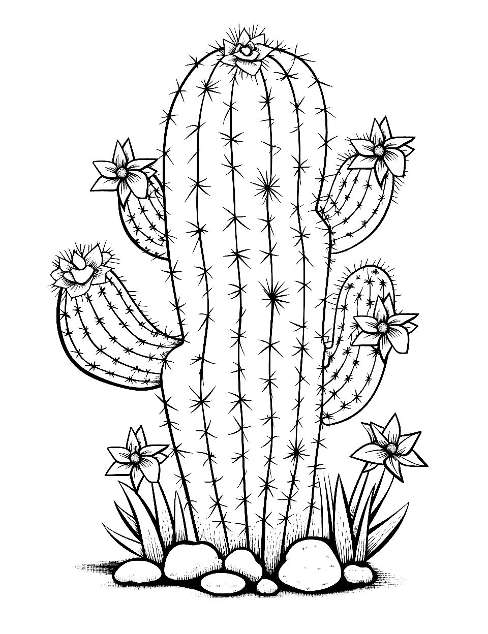 Cactus with Intricate Details Coloring Page - A cactus drawing with detailed spikes and textures, offering a coloring challenge.