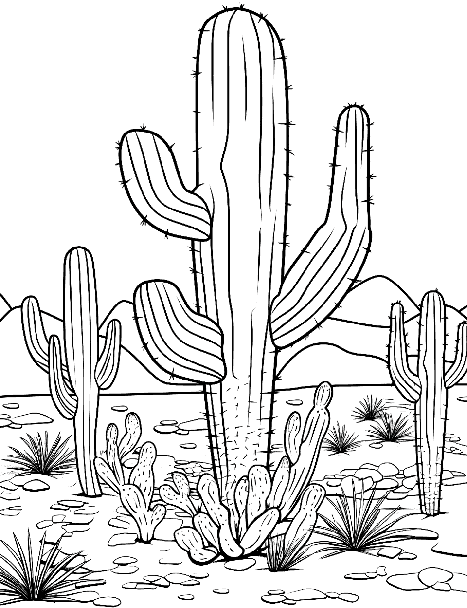Sonoran Desert Landscape Cactus Coloring Page - A landscape scene of the Sonoran Desert featuring various types of cacti and desert plants.