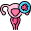 Can Cervix Be Hard and Still Be Pregnant? Icon