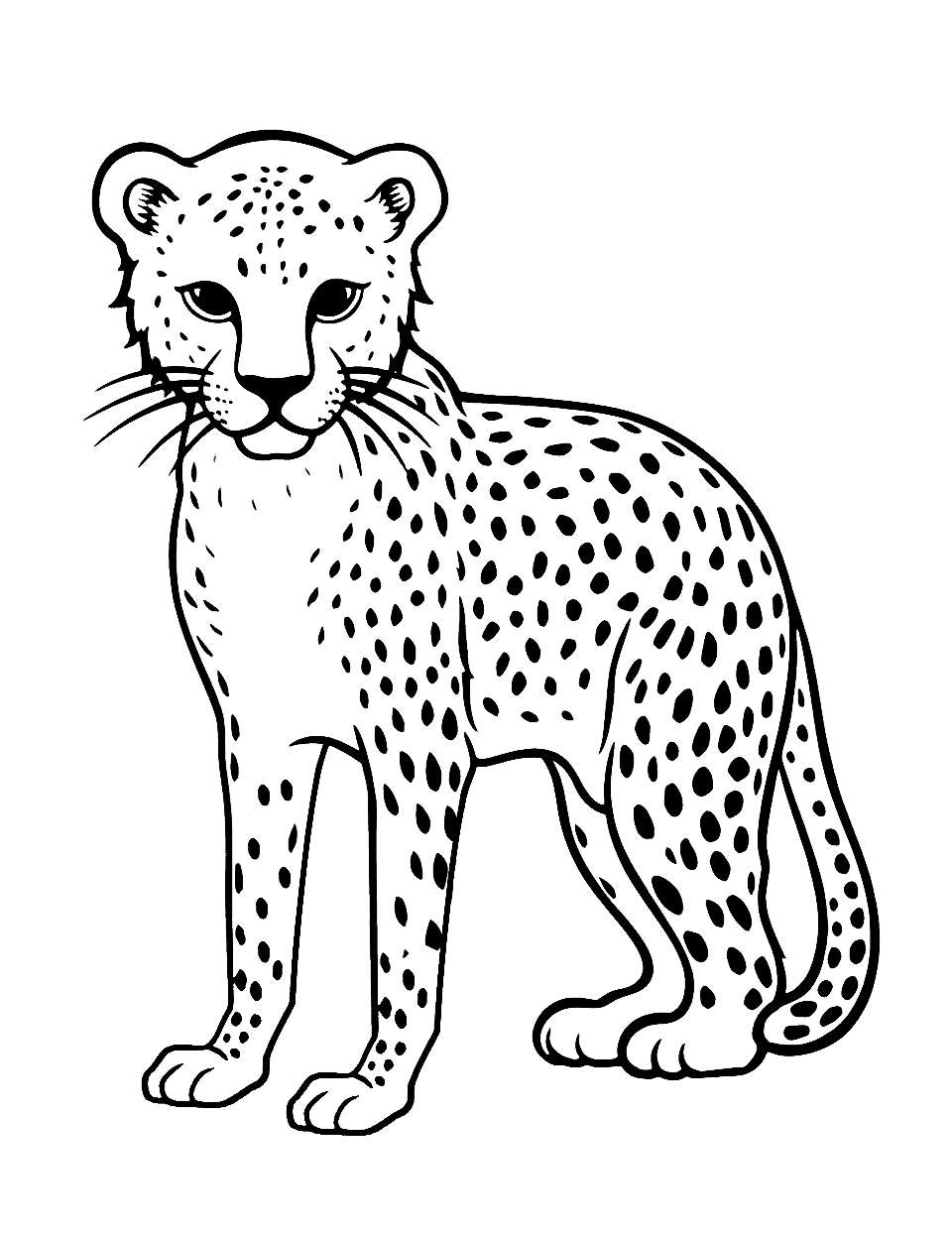 Simple Cheetah for Beginners Coloring Page - An easy-to-color cheetah, suitable for preschoolers, with fewer details.