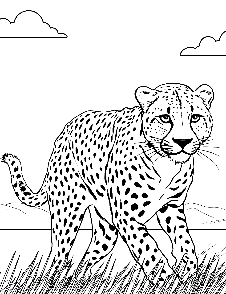 Cheetah Chasing Prey Coloring Page - An action-packed scene of a cheetah chasing after its prey.