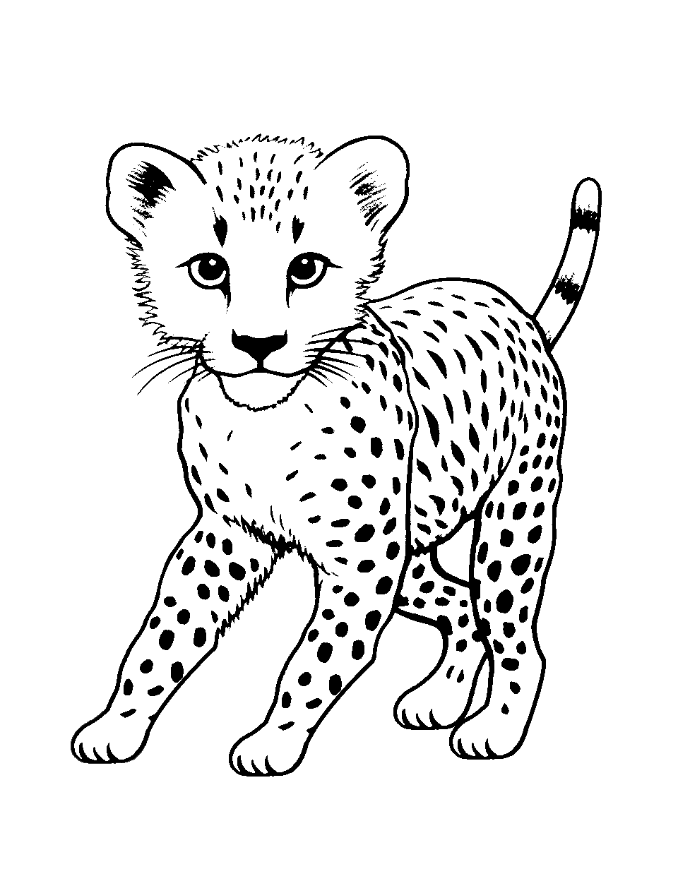 Cheetah Cub's First Hunt Coloring Page - A cheetah cub attempting its first hunt, looking focused.