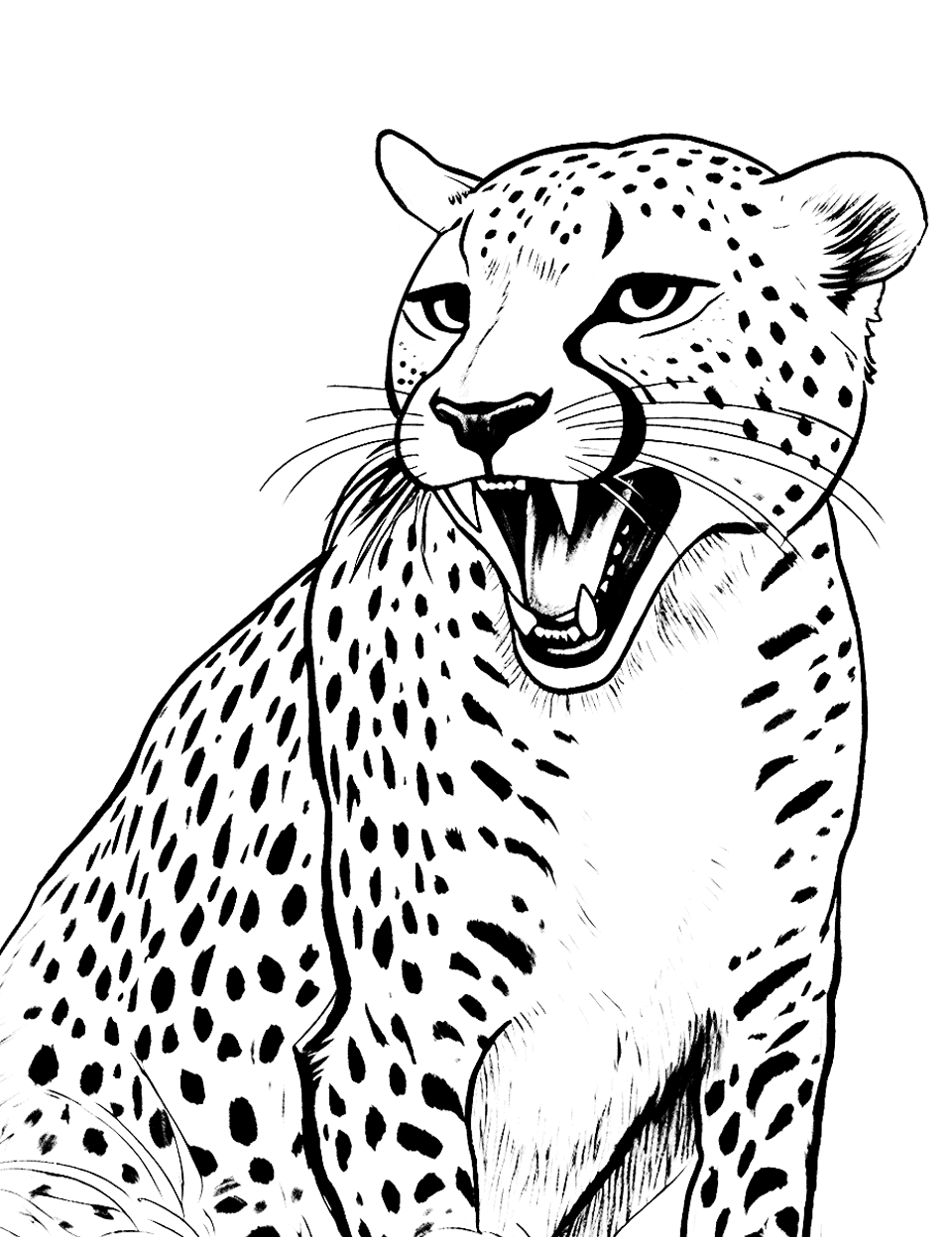 Cheetah in Mid-Roar Coloring Page - A dramatic scene of a cheetah roaring, showing off its teeth.