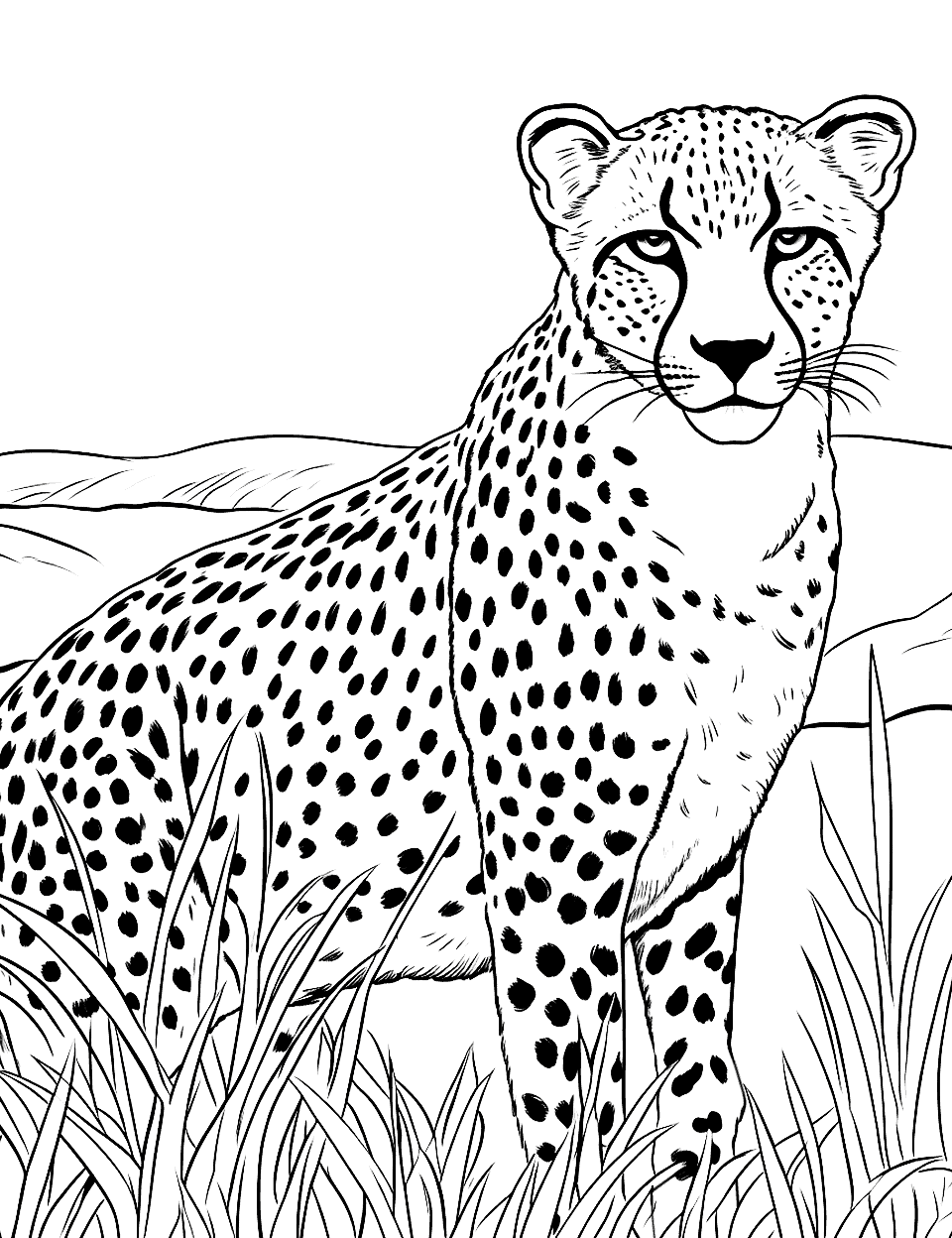 35 Cheetah Coloring Pages: Free Printable Sheets