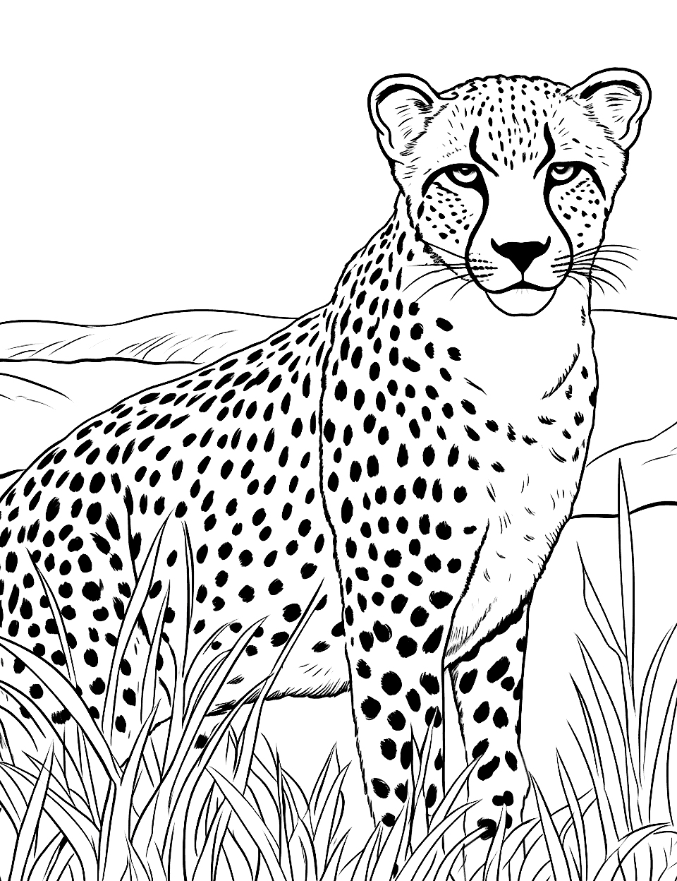 Cheetah in a Field of Tall Grass Coloring Page - A cheetah in tall savannah grass.