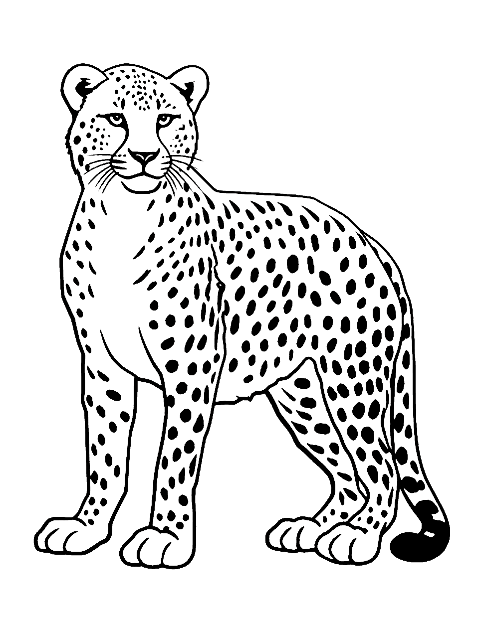 Easy Outline of a Cheetah Coloring Page - A simple outline of a cheetah for easy coloring.