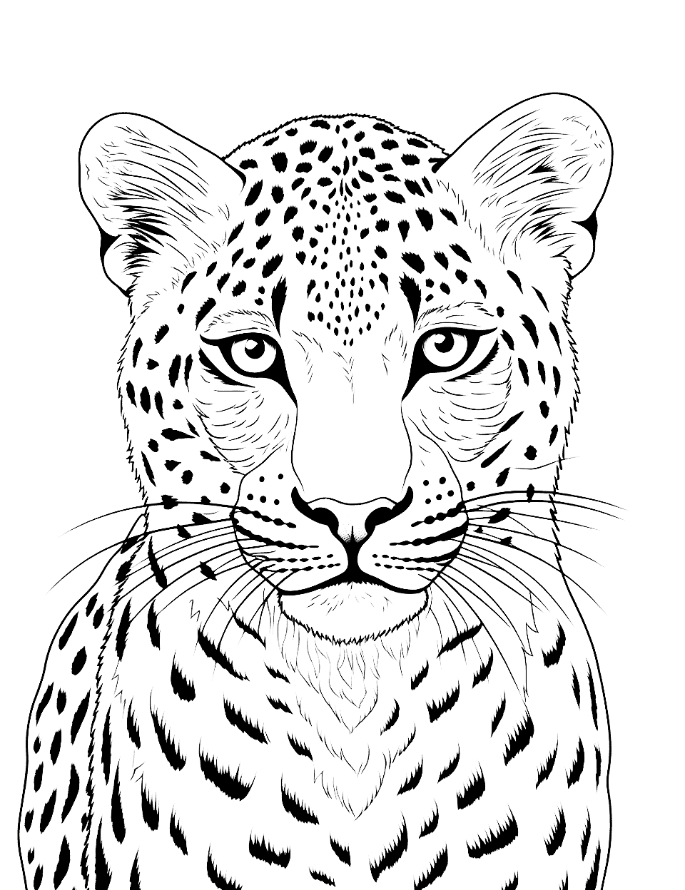 Detailed Cheetah Portrait Coloring Page - A close-up, detailed portrait of a cheetah’s face, suitable for older kids and adults.