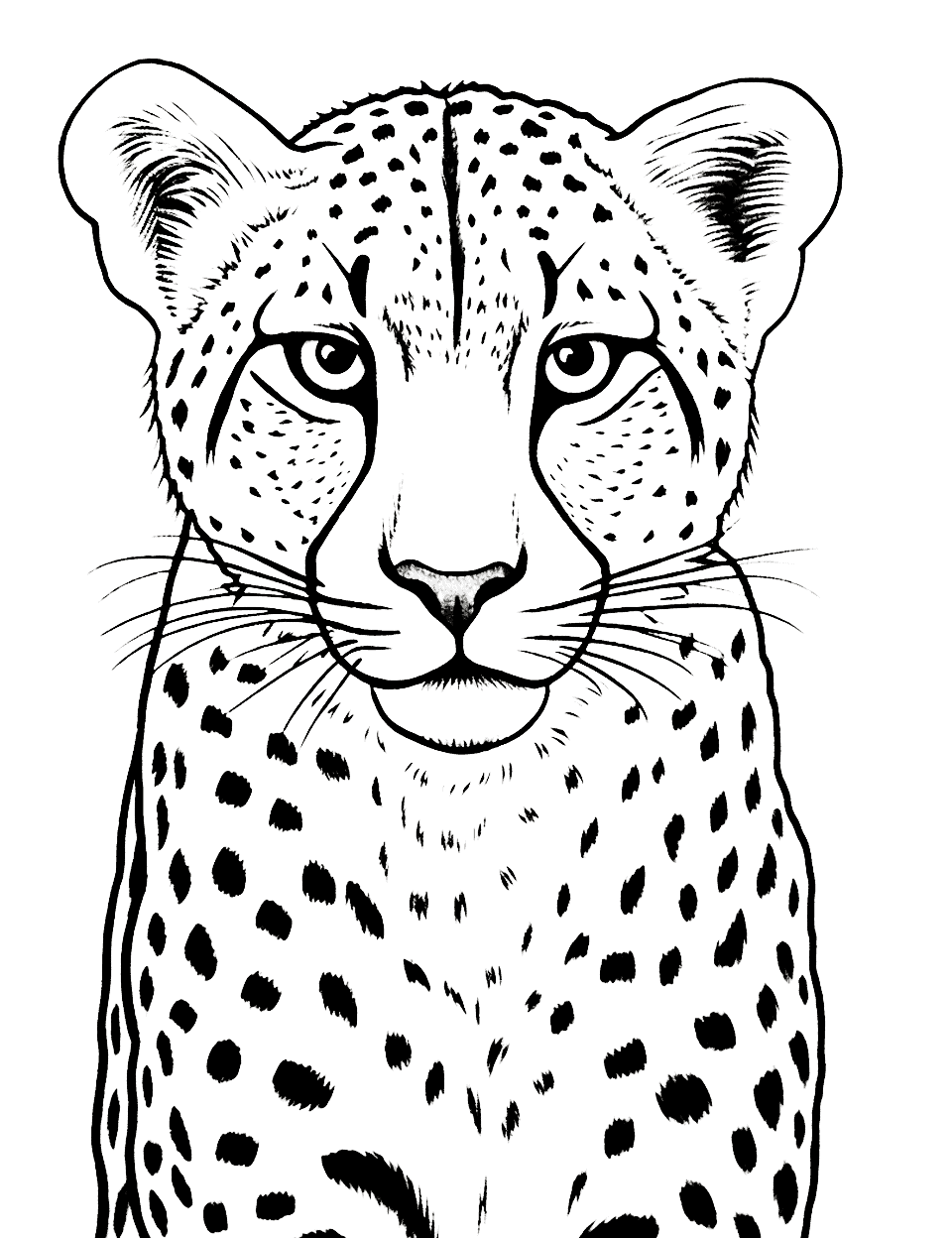 Cheetah Head Sketch Coloring Page - A focused sketch of a cheetah’s head with emphasis on the eyes.
