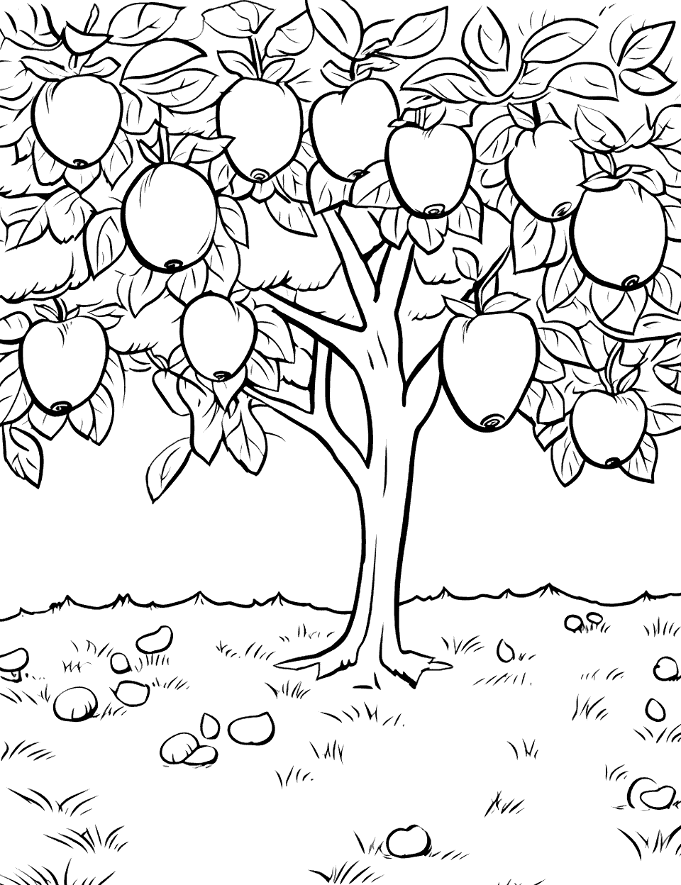 Fruit Tree Coloring Page - A fruit tree with ripe fruits hanging from the branches.