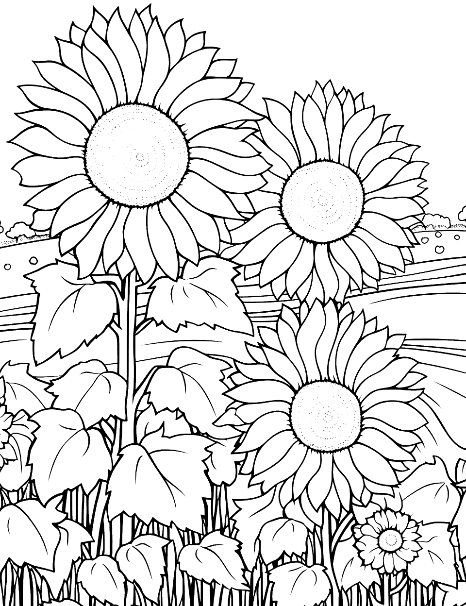Sunflower Field Farm Coloring Page - A field full of tall sunflowers.