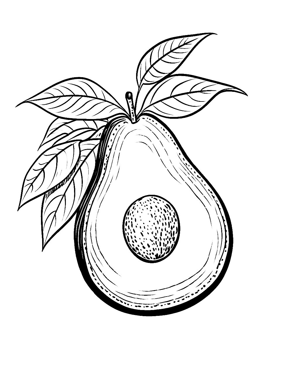 Avocado Awe Fruit Coloring Page - An avocado half with the seed showing, surrounded by leaves.