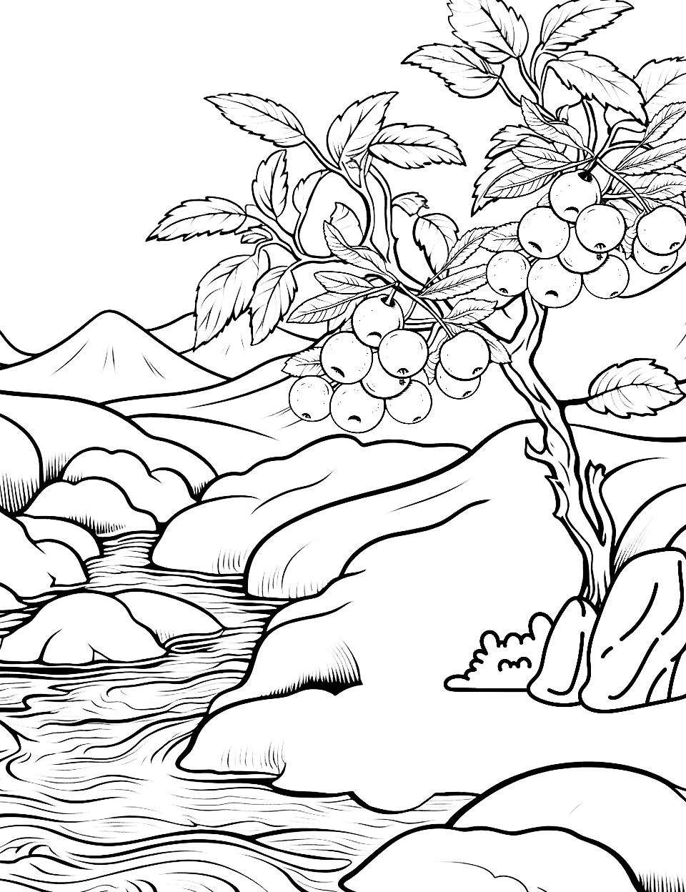 Cranberry Creek Fruit Coloring Page - Cranberries near a small creek.