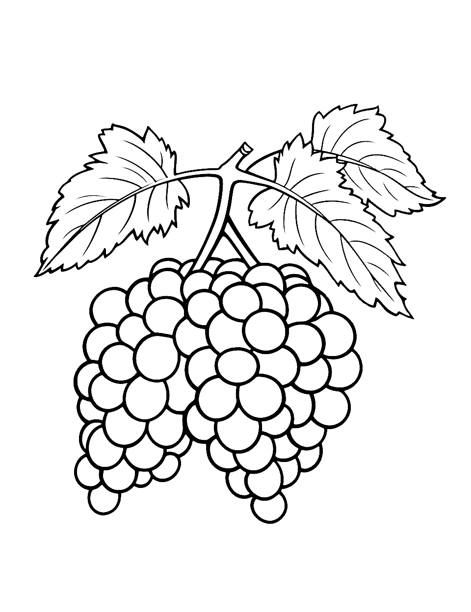 Grapes on the Vine Fruit Coloring Page - A bunch of grapes hanging from a vine.