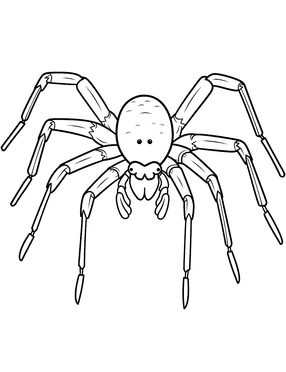 Spider Coloring Page Template - A basic spider outline serving as a coloring template.