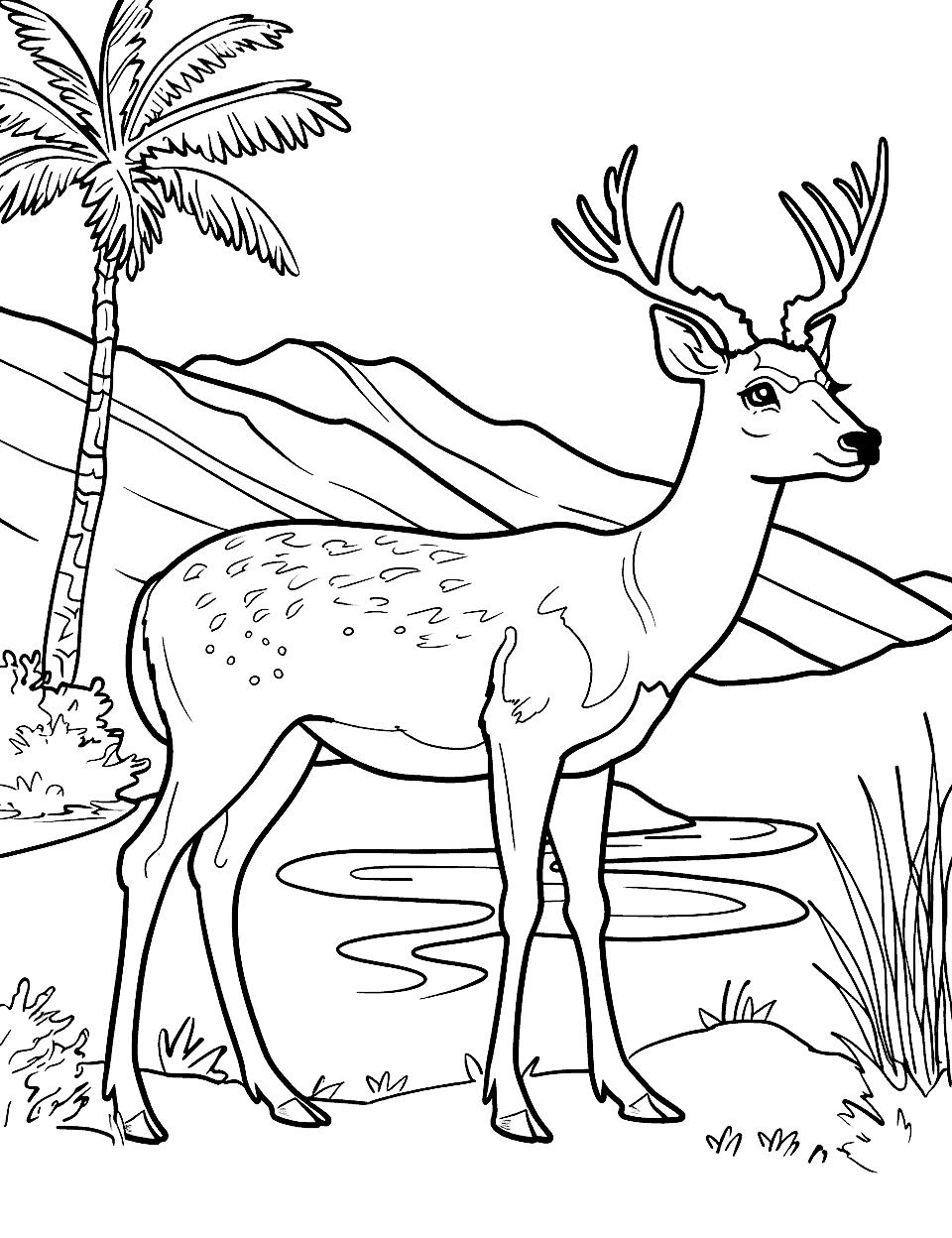 Deer in a Desert Oasis Coloring Page - A deer standing by a waterhole in the desert, with palm trees in the background.