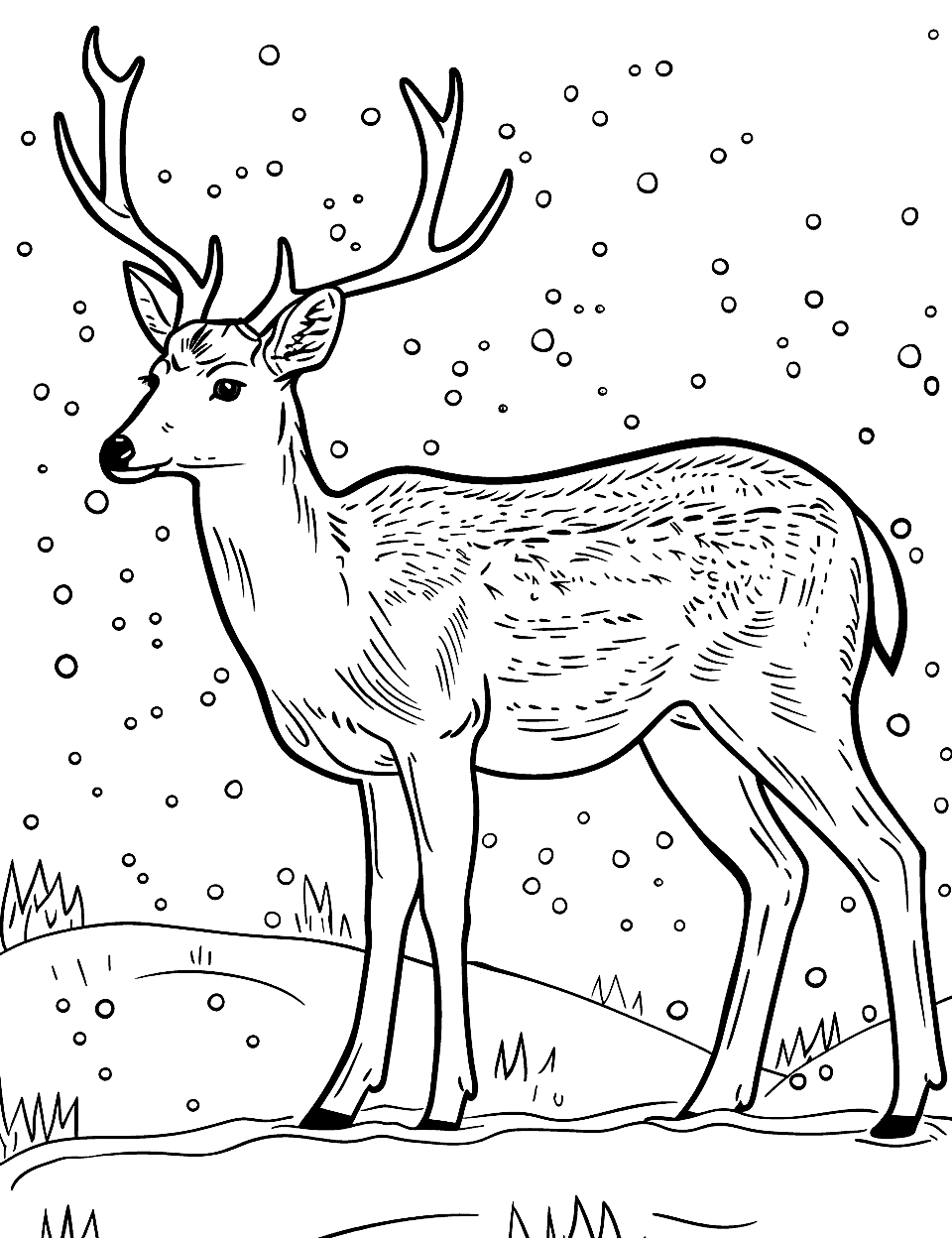 Winter Deer in Snowfall Coloring Page - A deer standing in a gentle snowfall, with snowflakes visible in the air in the spirit of Christmas.