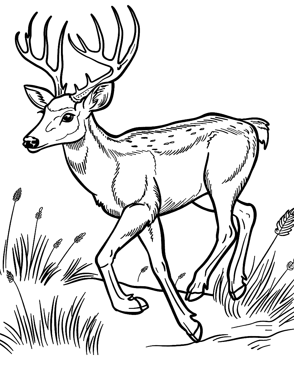 Running Deer in the Wild Coloring Page - A dynamic scene of a deer running swiftly through a meadow.