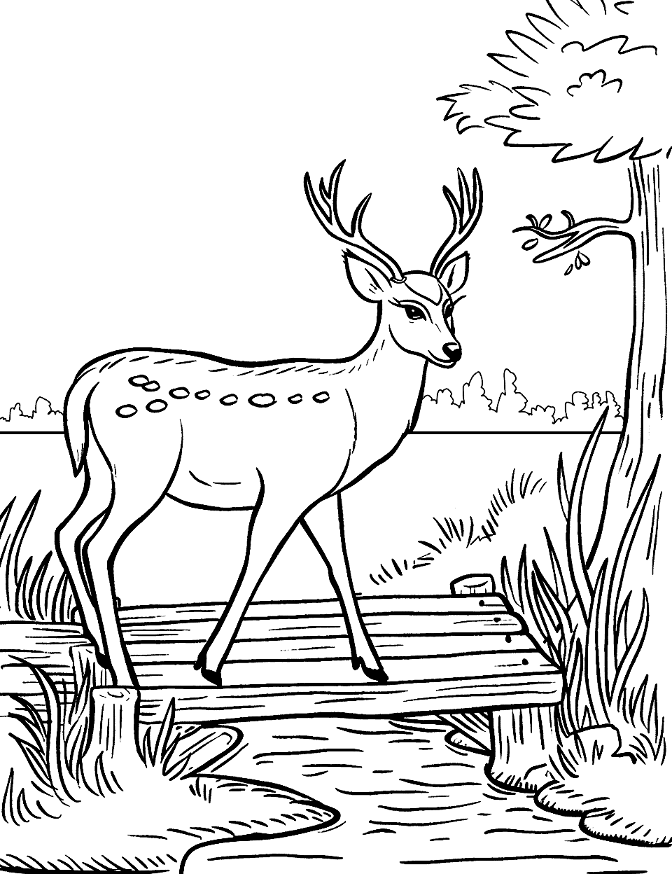 Deer Crossing a Wooden Bridge Coloring Page - A deer cautiously crossing a small wooden bridge over a stream.