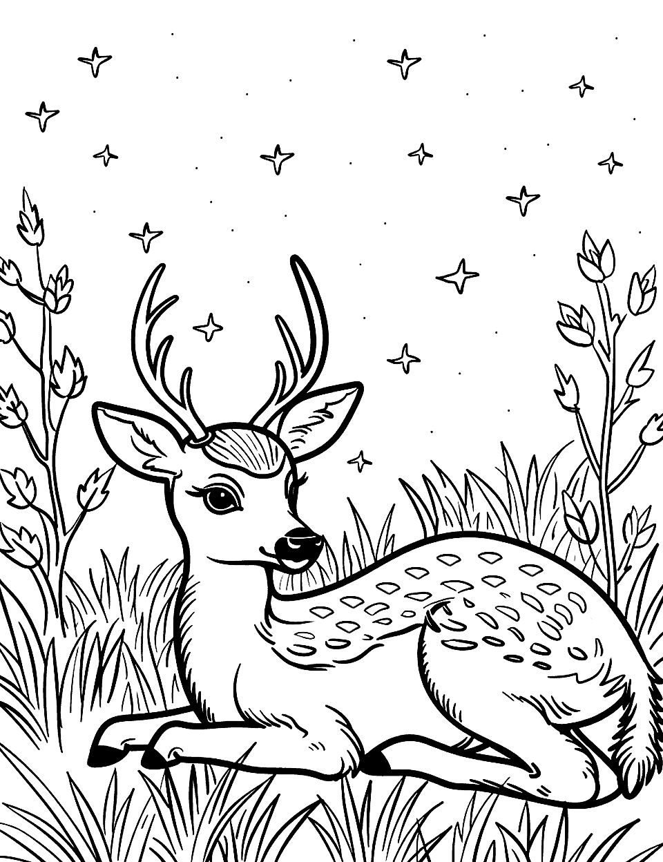 Fawn Under a Starry Night Coloring Page - A young fawn lying in grass under a sky full of stars.