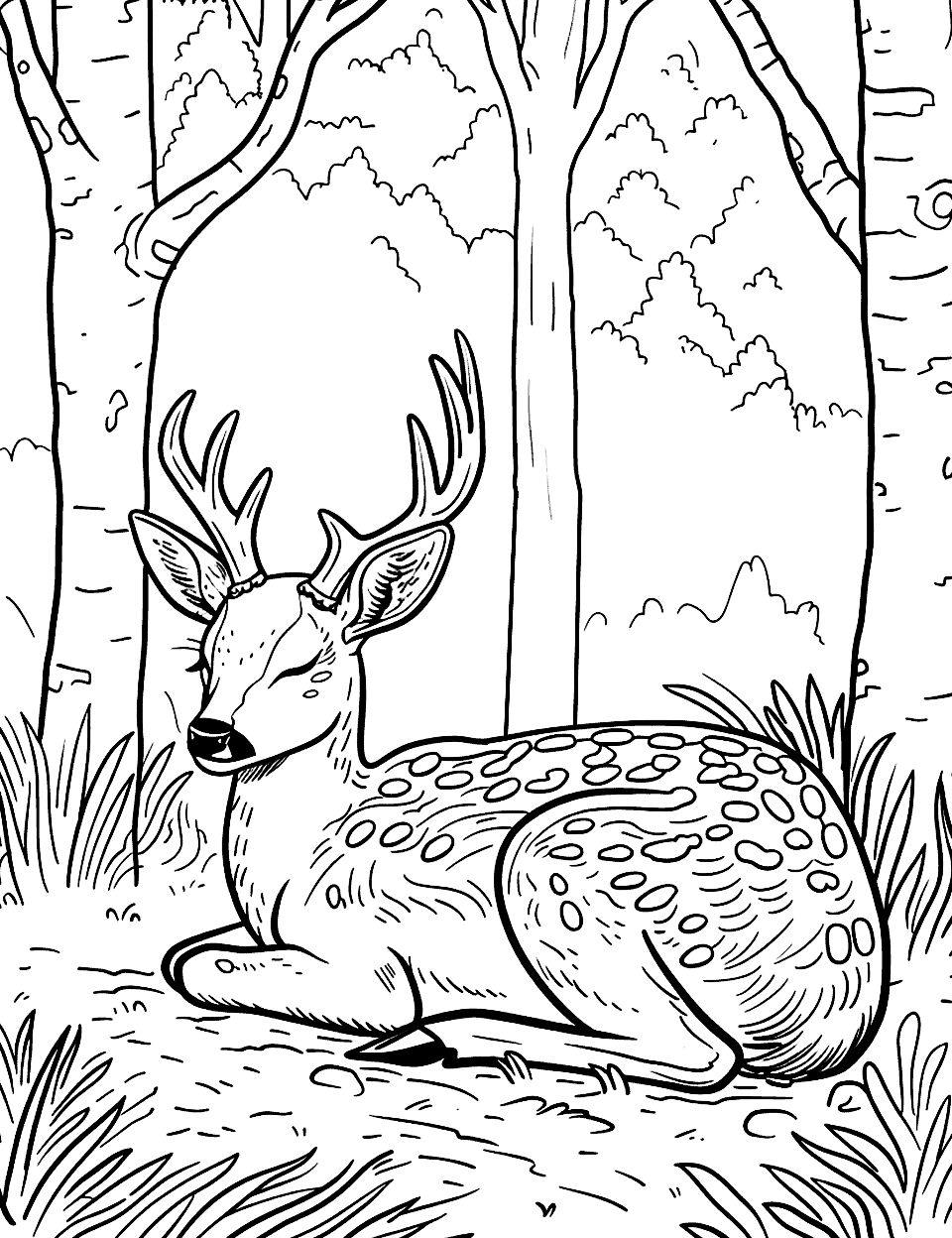 Sleeping Fawn in a Forest Clearing Coloring Page - A peaceful fawn sleeping curled up in a forest clearing.