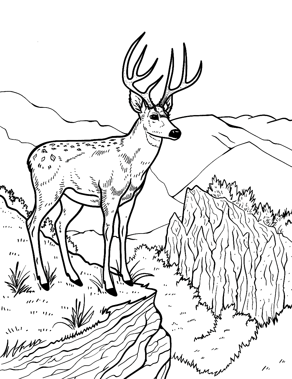 Buck Overlooking a Valley Coloring Page - A buck on a high vantage point, looking down at a lush valley below.