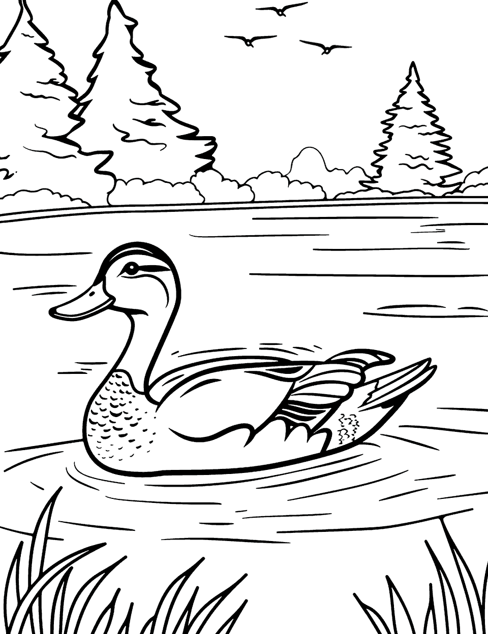 Mallard Duck on a Lake Coloring Page - A majestic mallard duck floating calmly on a serene lake.