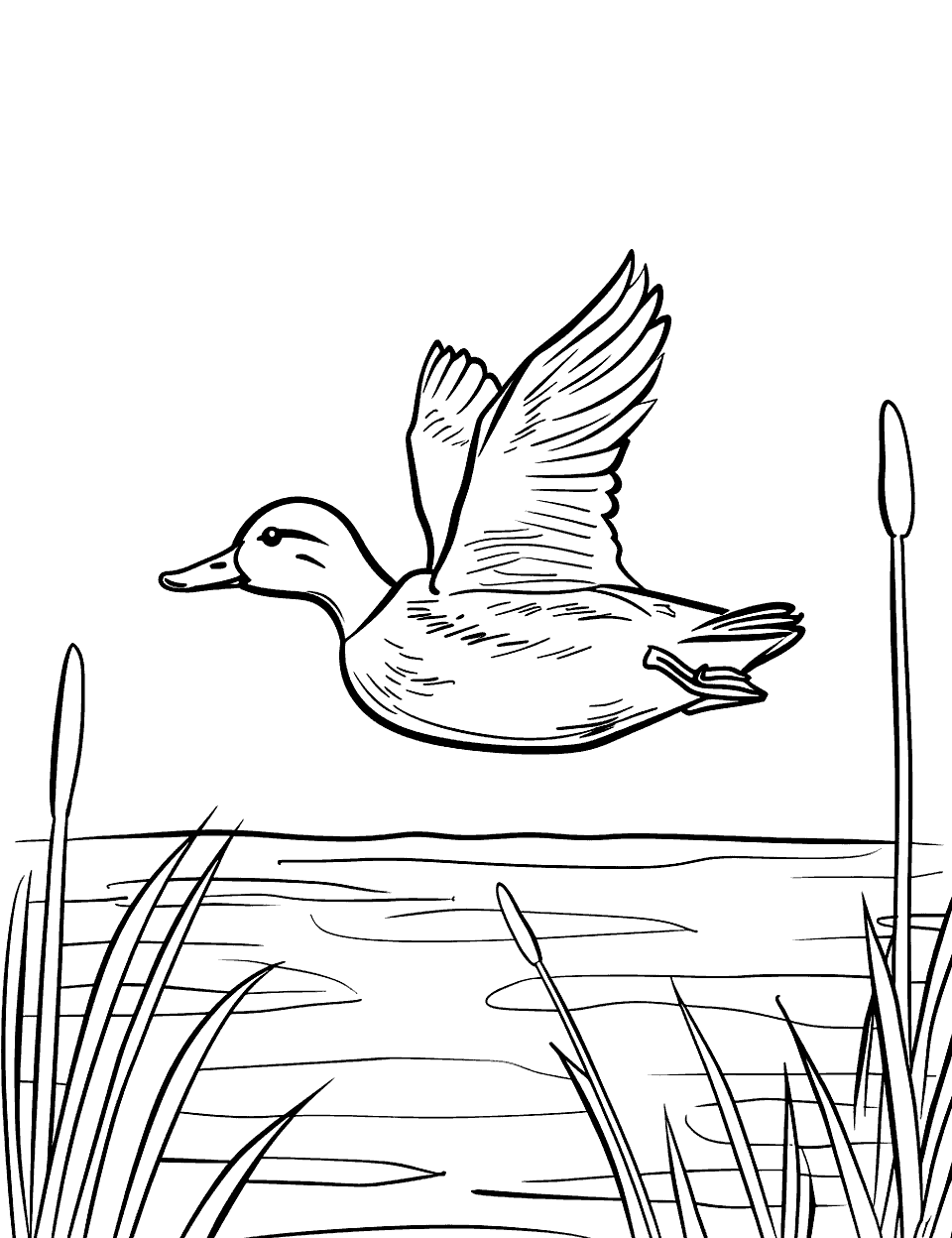 Duck Hunting Scene Coloring Page - A simple duck flying across the early morning sky.