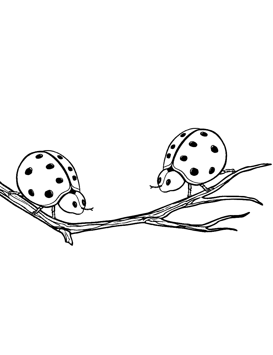 Ladybird Beetle Friends Meeting Coloring Page - A scene where two Ladybird beetles meet each other on a branch.