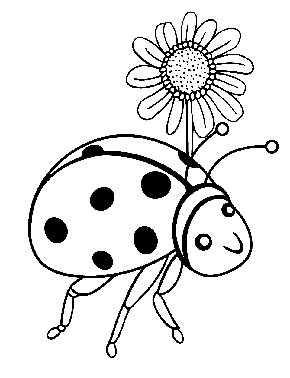 Curious Ladybird Beetle Coloring Page - A ladybird exploring a single daisy flower.