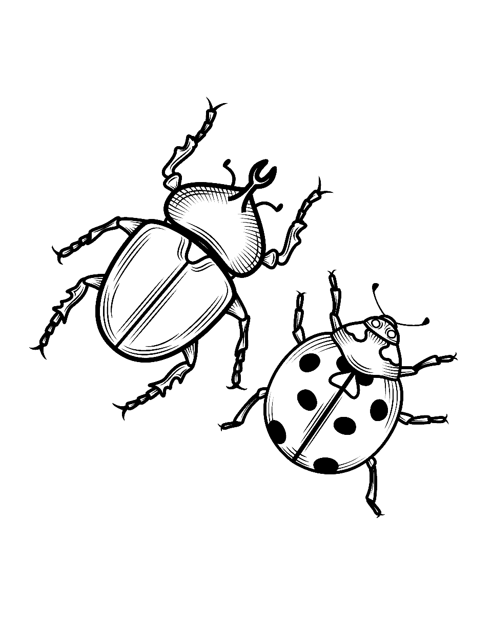Beetle and Ladybug Side by Side Coloring Page - A ladybug and a beetle standing side by side.